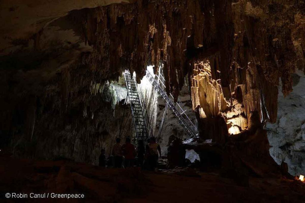 Cómo realizar un viaje sustentable por la Selva Maya, la segunda más grande de América, para poder conservarla y difundir su importancia