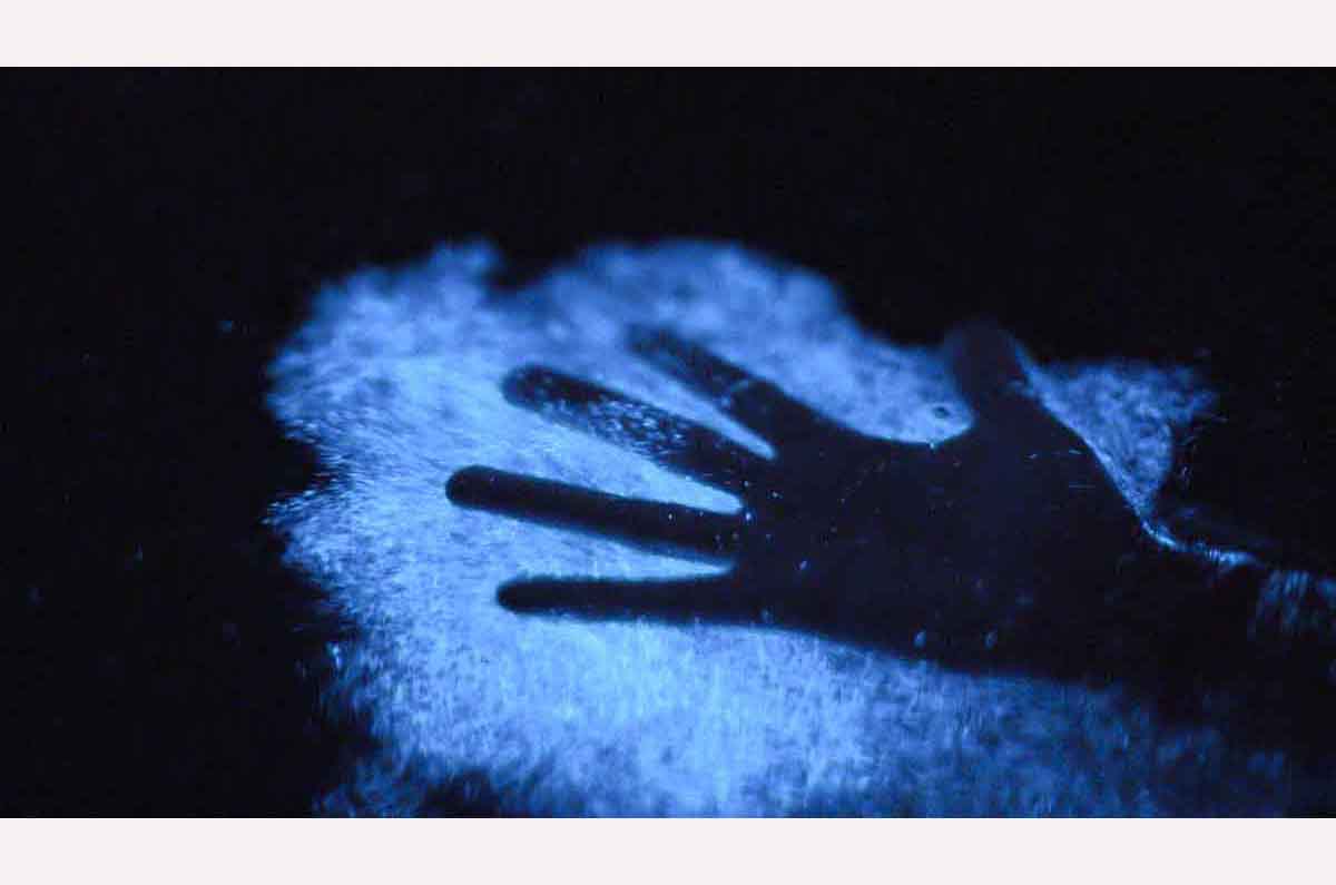 Guía de astroturismo en Puerto Rico para conectar con el cosmos