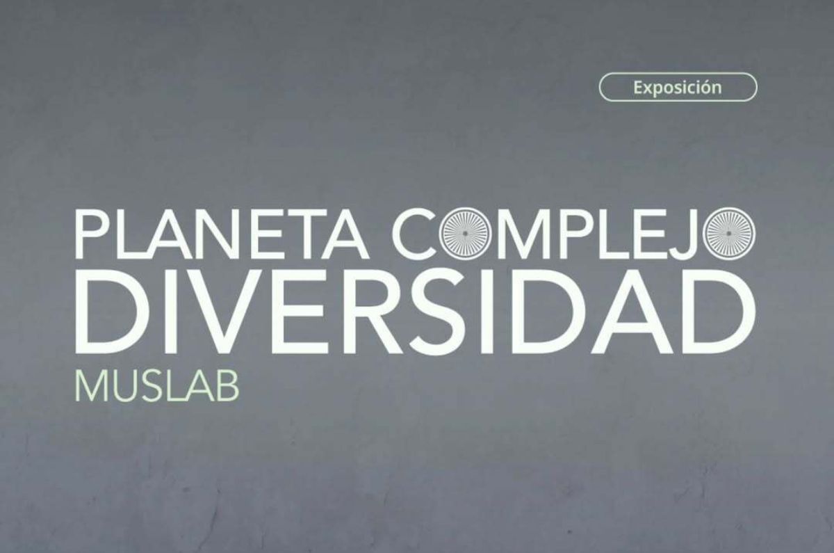 Expo Planeta Complejo Diversidad en el CCD: actividades en abril y mayo