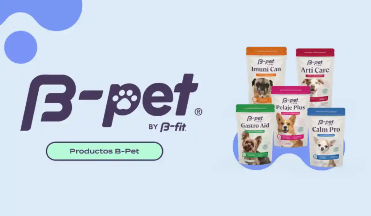 b-pet-lanzamiento-productos