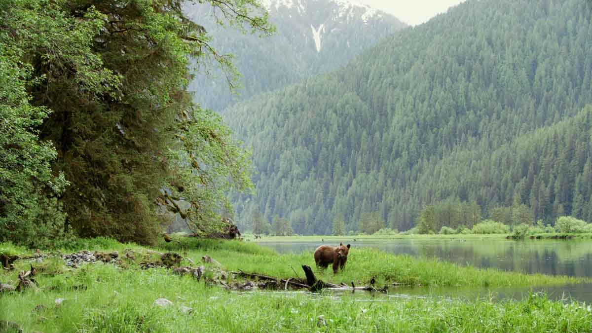 canada-vancouver-