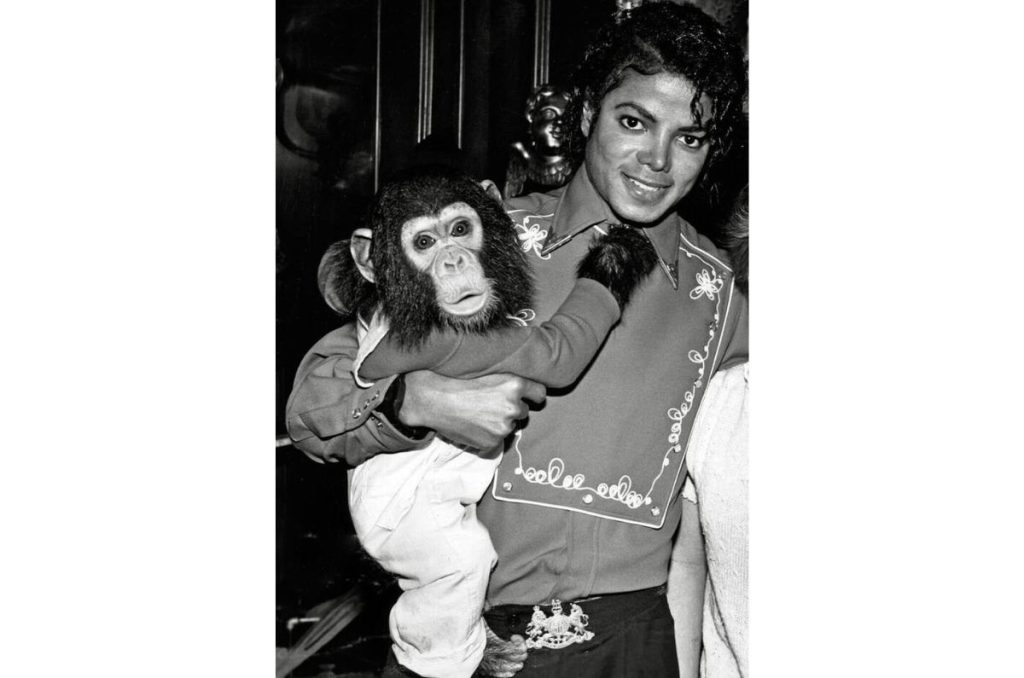 ¿Dónde está hoy Bubbles? El chimpancé de Michael Jackson que incomodó a Freddie Mercury 0