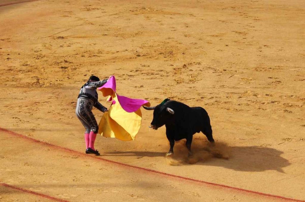 Edomex confirmó que peleas de gallos y corridas de toros seguirán permitidas pese a nueva ley animal.