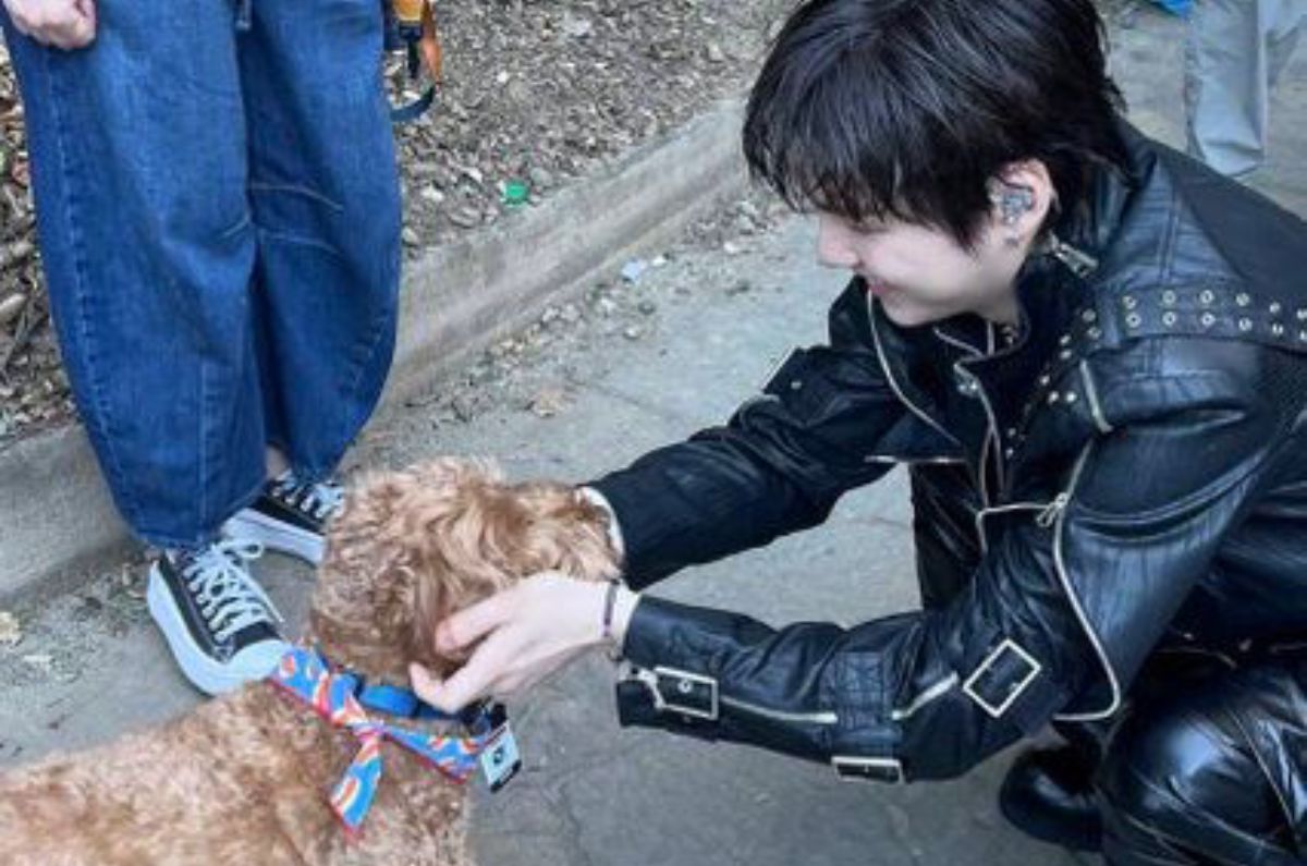 Él es STONEY BLUE, el perro de apoyo emocional que acompaña a BTS durante la gira Arirang