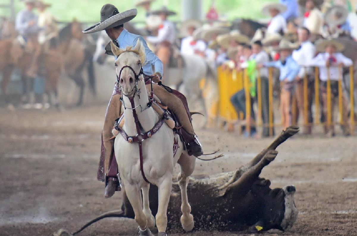 Federación mexicana de Charrería