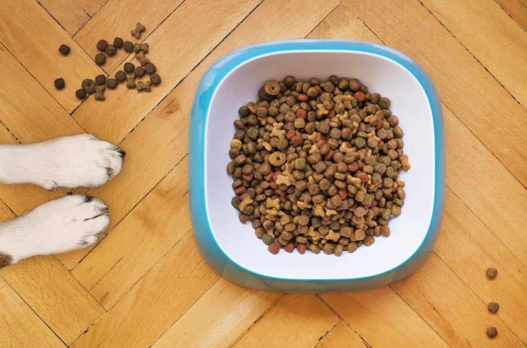Hot Sale 2026: las mejores ofertas en alimento para mascotas que debes aprovechar