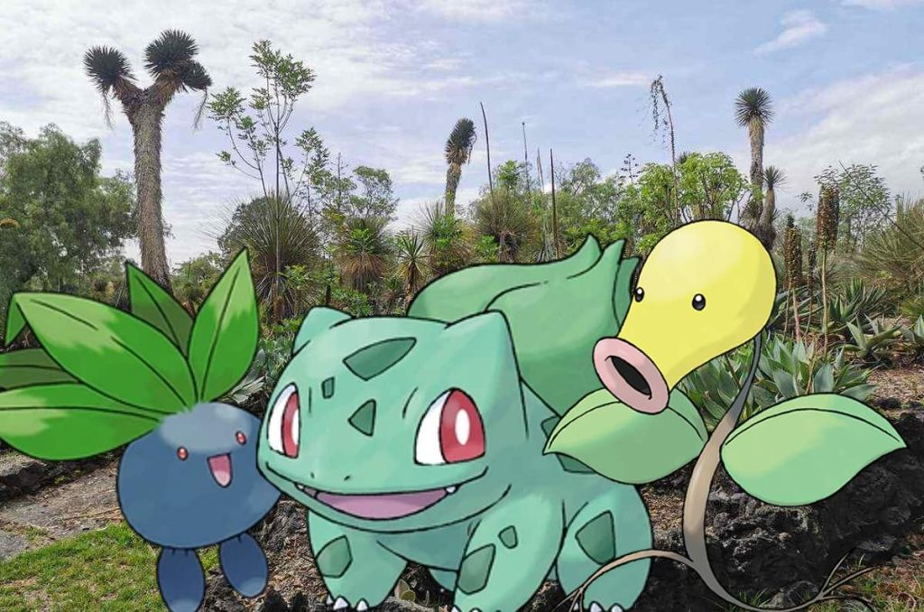Jardín Botánico de la UNAM presenta encuentro de Pokémon Go