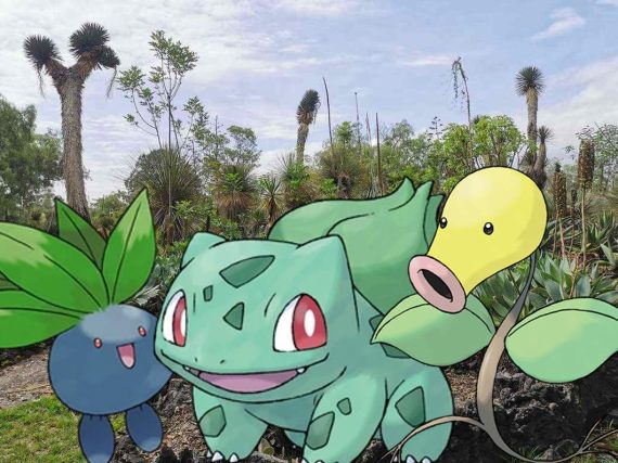 Jardín Botánico de la UNAM presenta encuentro de Pokémon Go