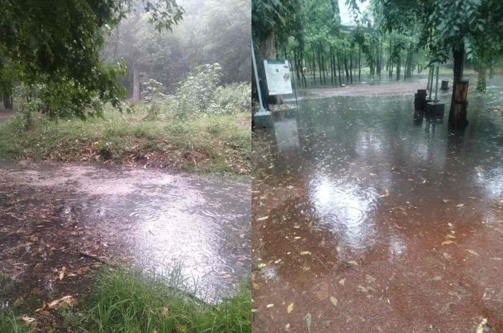 Las lluvias provocaron que el parque cerrara el miércoles