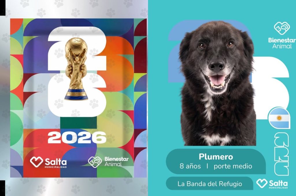 Perritos rescatados protagonizan un álbum estilo Mundial 2026 que ya se volvió viral en redes. La campaña busca encontrarles hogar y conquistar corazones con estampas futboleras.