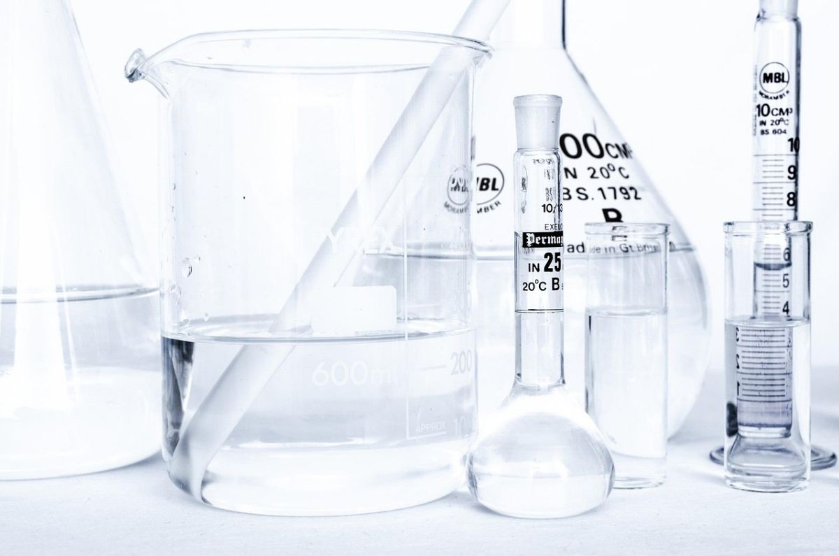 México es el primer país de Norteamérica en prohibir pruebas cosméticas en animales