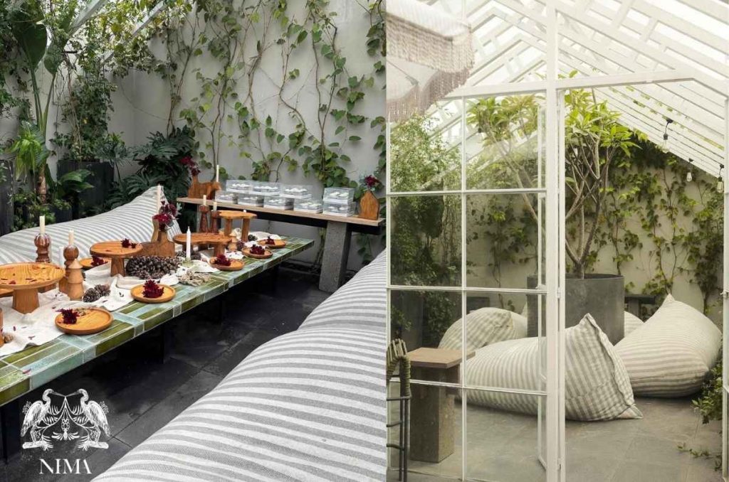 Nima Café: El oasis verde donde el brunch se vuelve una pausa en la CDMX