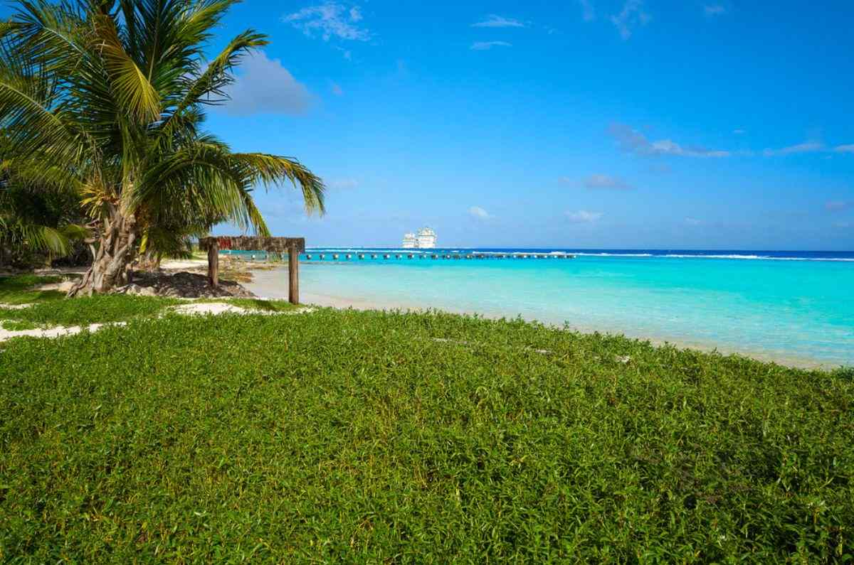 ¡No va Perfect Day México! SEMARNAT confirma que no aprobará el parque en Mahahual