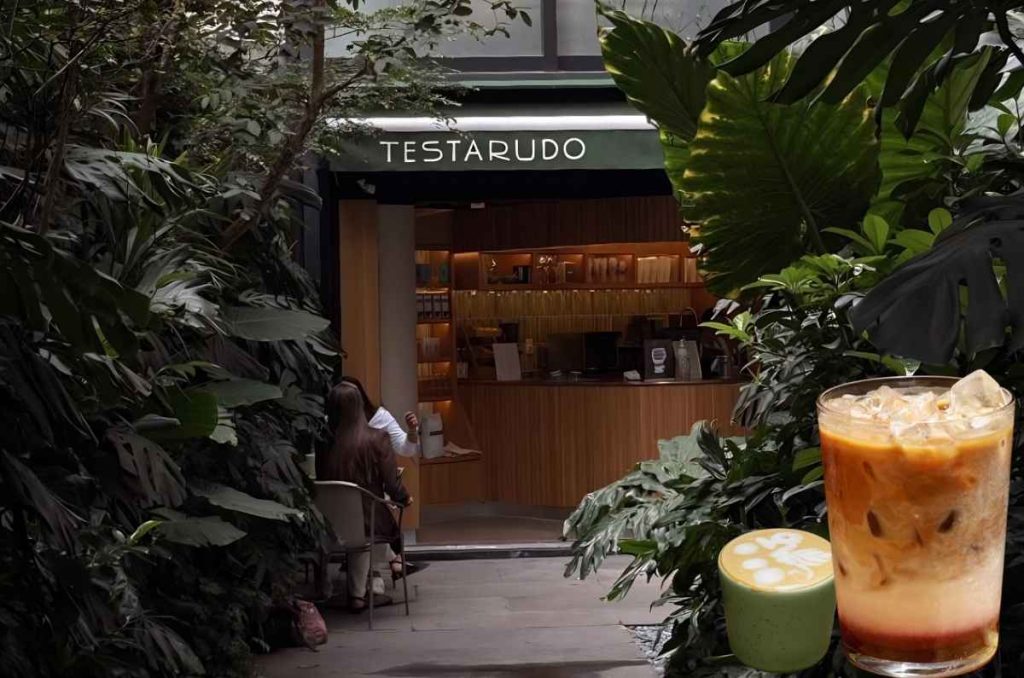 Testarudo Café: Un café entre la vegetación de la CDMX