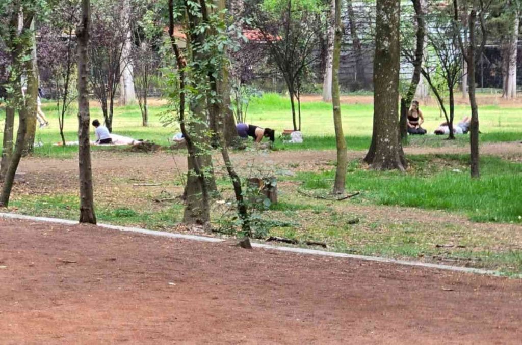 Tras 24 horas cerrado por las lluvias, reabren el parque Viveros de Coyoacán
