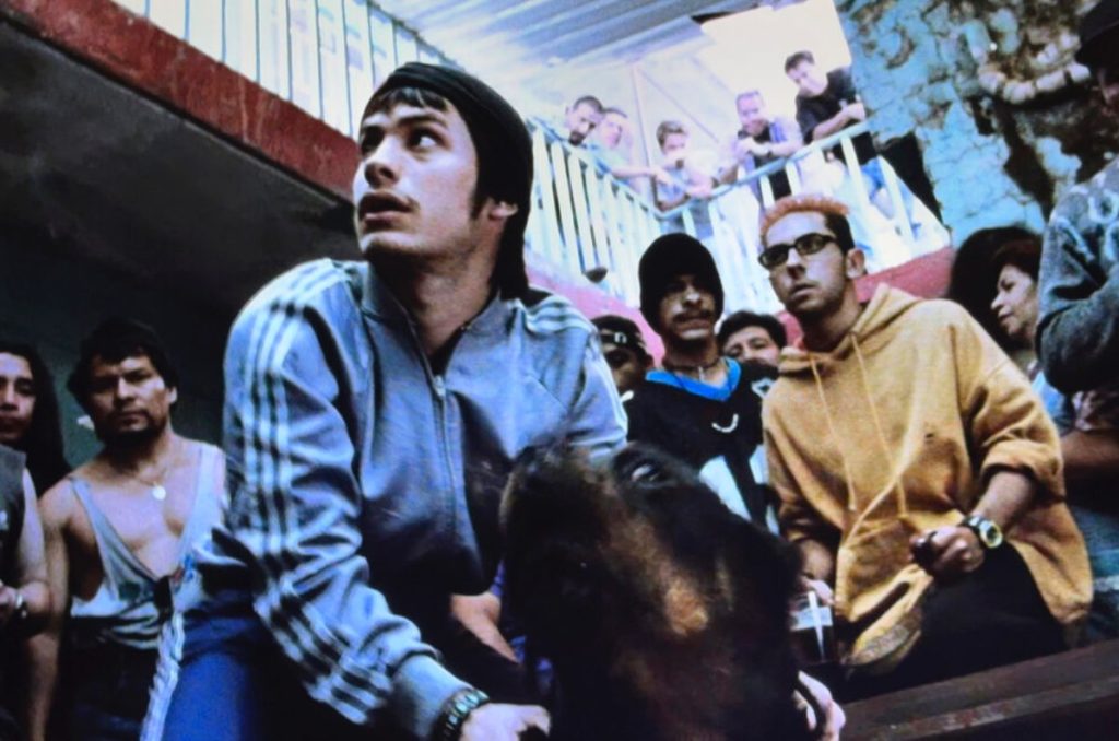 ¿Ya viste lo que hizo tu guión? Amores Perros tendrá serie