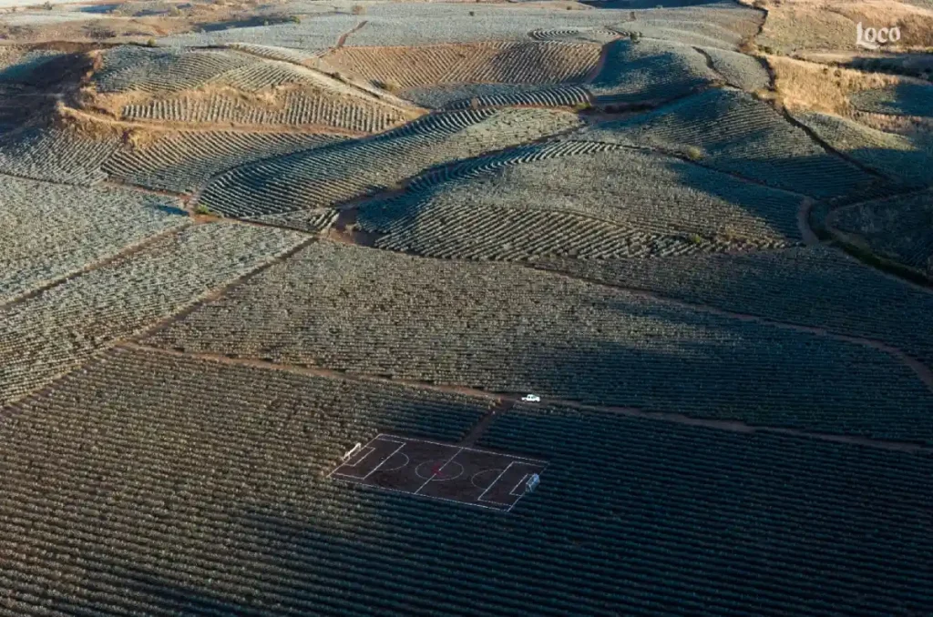 Loco Tequila y Santiago Arau inauguran su exposición “Canchas”: la evolución del juego de pelota al fútbol actual con una interpretación genial entre trazos y campos de agave 4