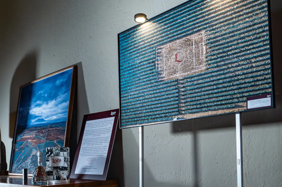 Loco Tequila y Santiago Arau inauguran su exposición “Canchas”: la evolución del juego de pelota al fútbol actual con una interpretación genial entre trazos y campos de agave