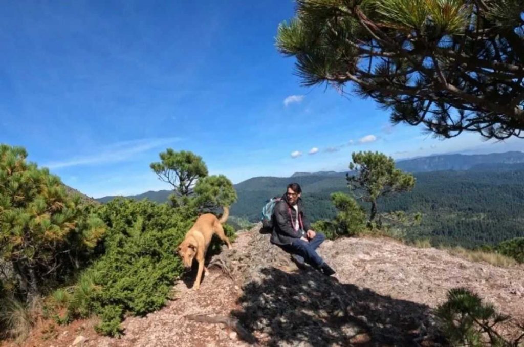 Foto: Cumbres del Ajusco