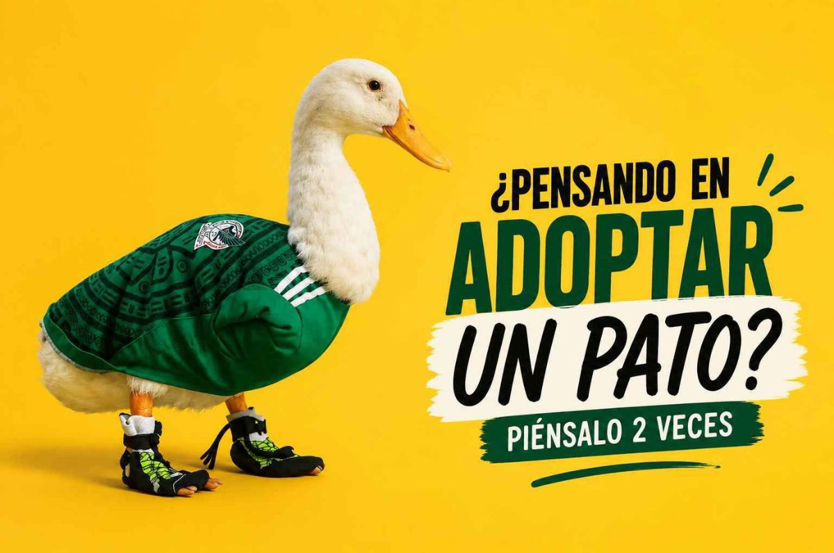 ¿Pato como mascota? Lo que debes saber antes de querer uno