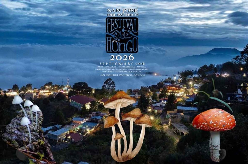 Festival del Hongo 2026: San José del Pacífico celebra hongos, arte y gastronomía