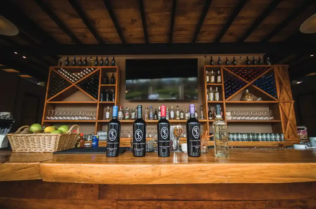 El viñedo de lujo que transforma el enoturismo en San Miguel de Allende 1