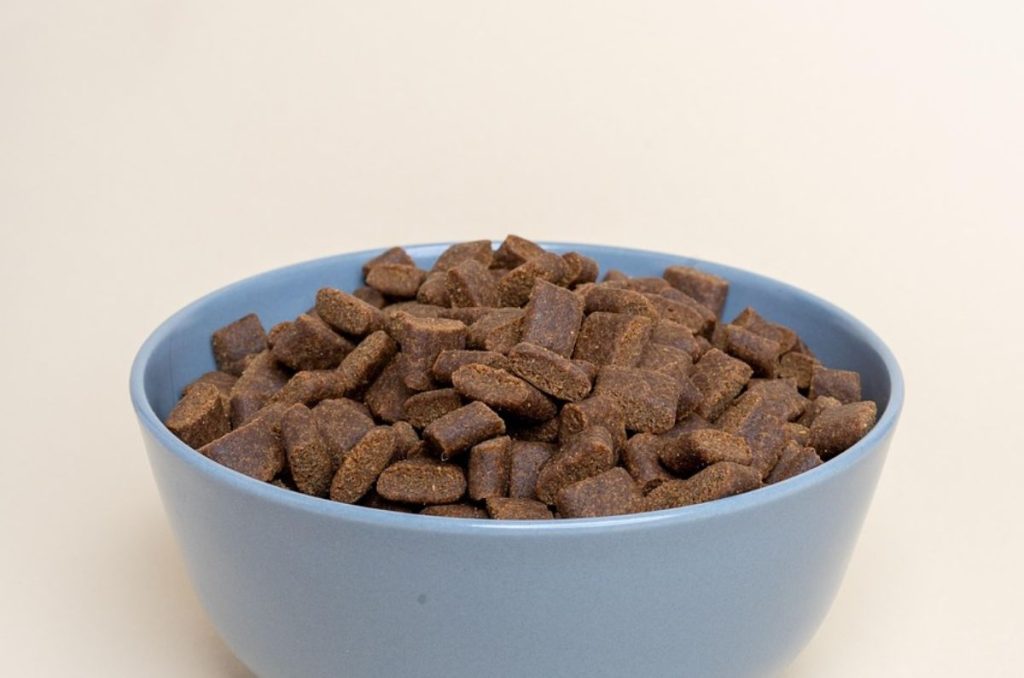 Las croquetas para gato que reprobaron la evaluación de Profeco