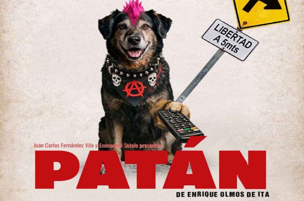 “Patán”: la obra en CDMX sobre un perro callejero que te hará reflexionar sobre la indiferencia