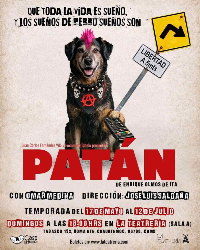 “Patán”: la obra en CDMX sobre un perro callejero que te hará reflexionar sobre la indiferencia