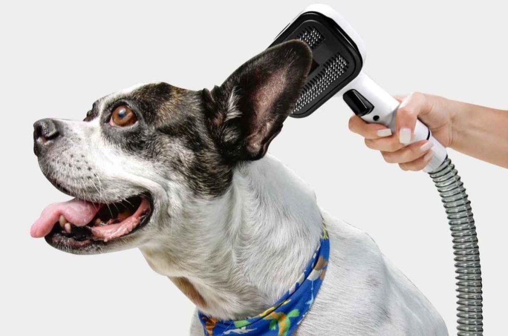 Pet Clean: la apuesta de Kärcher para hogares con mascotas