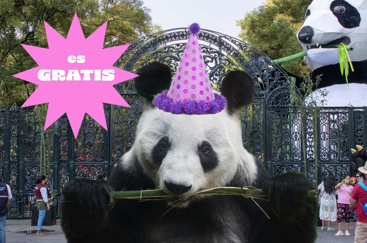 Festeja el cumple de Xin Xin en Chapultepec ¡Actividades GRATIS!