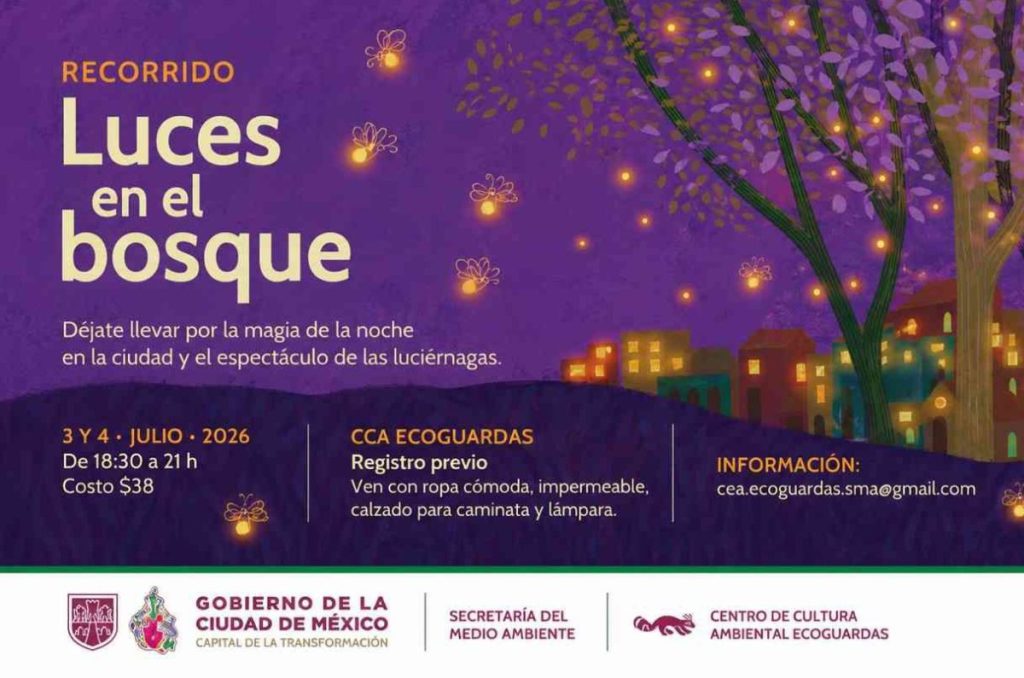 Luces en el Bosque: el recorrido de luciérnagas en CDMX 1