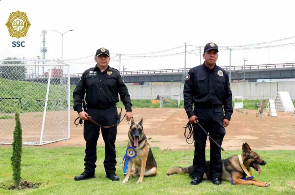 Los perritos que protegieron el sistema penitenciario ya se jubilaron: esta es su historia